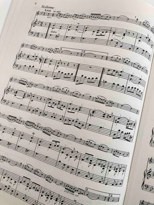 2 Flöten und Klavier
