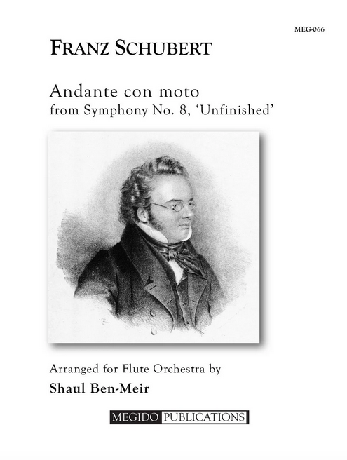 F. Schubert - Andante con moto