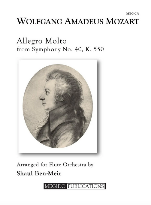 W.A. Mozart - Allegro Molto from Symphony No.40, K.550