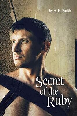 Secret of the Ruby - Hardcover