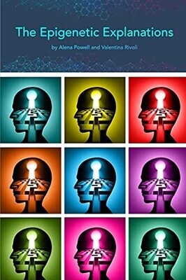 The Epigenetic Explanations