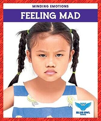Feeling Mad (Blue Owl Books: Mindful Me) (Minding Emotions)