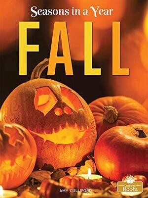 Fall (Seasons in a Year) - Library Binding