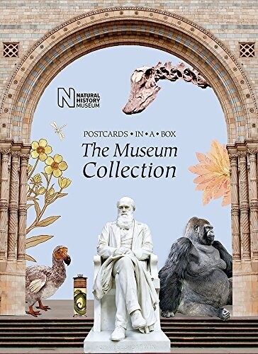 The Museum Collection: Postcards In A Box
