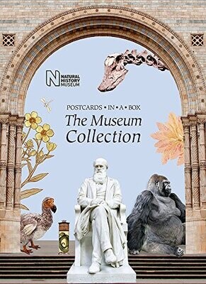 The Museum Collection: Postcards In A Box