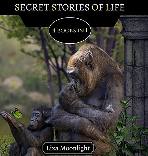 Secret Stories Of Life: 4 Books In 1 - Hardcover