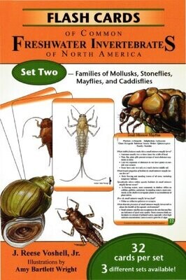 Flash Cards Of Common Freshwater Invertebrates Of North America Set Two - Families Of Mollusks, Stoneflies, Mayflies, And Caddisflies