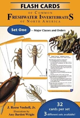 Flash Cards Of Common Freshwater Invertebrates Of North America Set One - Major Classes And Orders