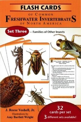 Flash Cards Of Common Freshwater Invertebrates Of North America Set Three - Families Of Other Insects