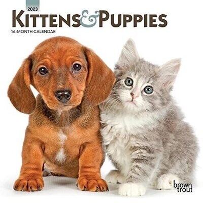 Kittens &amp; Puppies | 2023 7 X 14 Inch Monthly Mini Wall Calendar | Browntrout | Animals Cute Dogs Cats