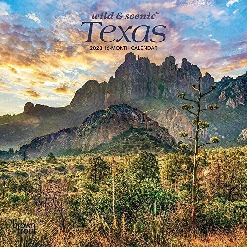 Texas Wild &amp; Scenic | 2023 7 X 14 Inch Monthly Mini Wall Calendar | Browntrout | Usa United States Of America Southwest State Nature