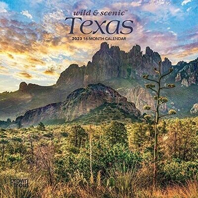 Texas Wild &amp; Scenic | 2023 7 X 14 Inch Monthly Mini Wall Calendar | Browntrout | Usa United States Of America Southwest State Nature