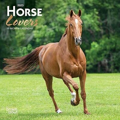 Horse Lovers | 2023 7 X 14 Inch Monthly Mini Wall Calendar | Foil Stamped Cover | Browntrout | Animals Equestrian