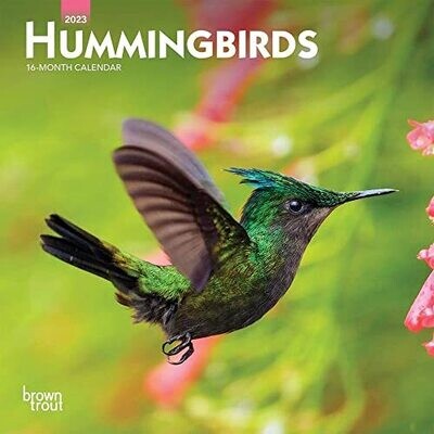Hummingbirds | 2023 7 X 14 Inch Monthly Mini Wall Calendar | Browntrout | Animals Wildlife Nature