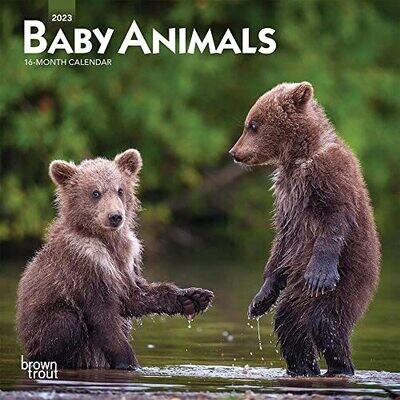 Baby Animals | 2023 7 X 14 Inch Monthly Mini Wall Calendar | Browntrout | Domestic Pets Chicken Small Cute