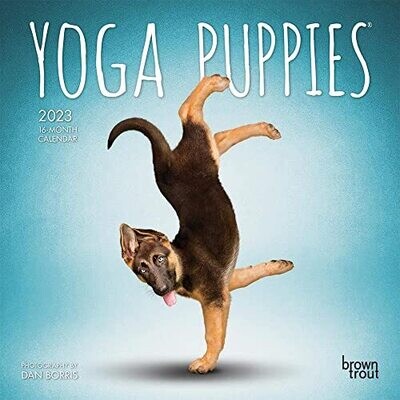 Yoga Puppies Official | 2023 7 X 14 Inch Monthly Mini Wall Calendar | Browntrout | Animals Humor Puppy Dogs Canine