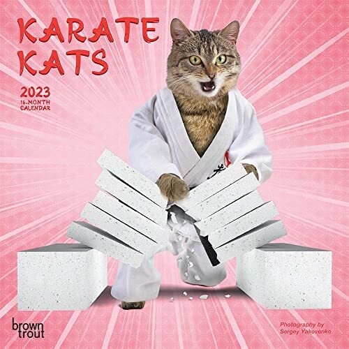 Karate Cats | 2023 7 X 14 Inch Monthly Mini Wall Calendar | Browntrout | Pets Funny Animals Feline