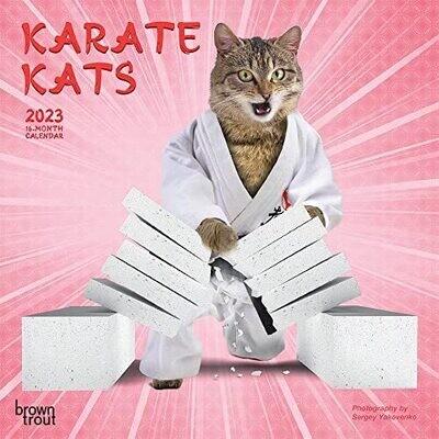 Karate Cats | 2023 7 X 14 Inch Monthly Mini Wall Calendar | Browntrout | Pets Funny Animals Feline