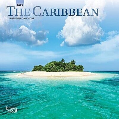 The Caribbean | 2023 7 X 14 Inch Monthly Mini Wall Calendar | Foil Stamped Cover | Browntrout | Travel Nature Beach Tropical