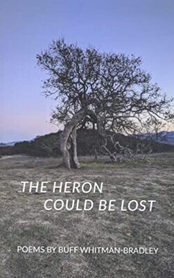 The Heron Could Be Lost