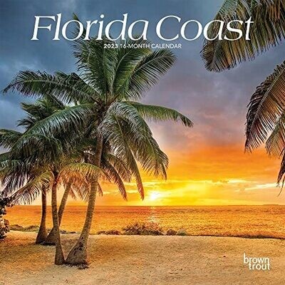 Florida Coast | 2023 7 X 14 Inch Monthly Mini Wall Calendar | Browntrout | Usa United States Of America Southeast State Nature