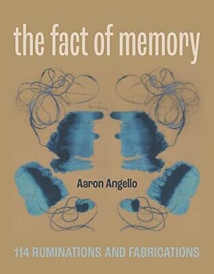 The Fact Of Memory: 114 Ruminations And Fabrications