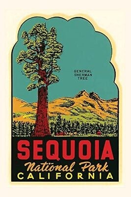 Vintage Journal Sequoia National Park Decal (Pocket Sized - Found Image Press Journals)