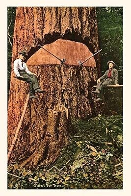 Vintage Journal Giant Fir Tree (Pocket Sized - Found Image Press Journals)