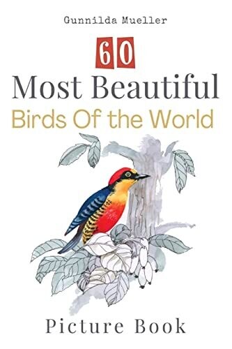 60 Most Beautiful Birds Of The World Picture Book: 60 Bird Pictures For Seniors With Alzheimer's And Dementia Patients. Premium Pictures On 70Lb Paper (62 Pages).