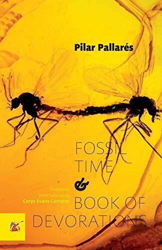 Fossil Time and Book of Devorations (Small Stations Poetry)