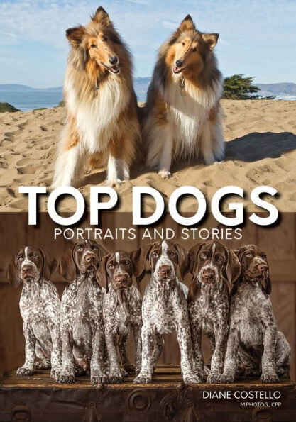 Top Dogs : Portraits And Stories