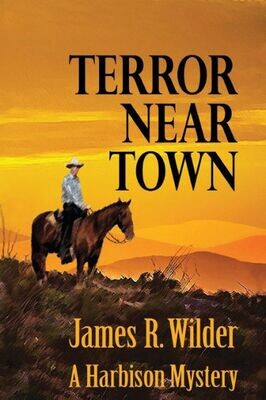 Terror Near Town : A Harbison Mystery