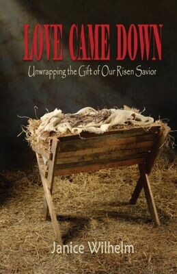 Love Came Down : Unwrapping The Gift Of Our Risen Savior - 9781732780309