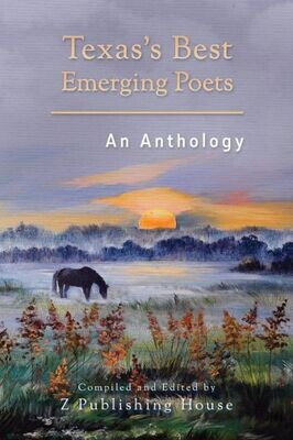 Texas&#39;S Best Emerging Poets : An Anthology