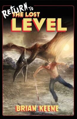 Return To The Lost Level