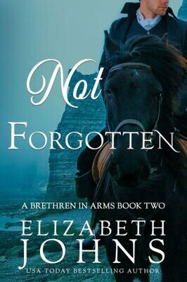 Not Forgotten - 9781733958714