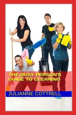 The Busy Person&#39;S Guide To Cleaning : Creating A Clean Living Environment With Minimal Time And Cost