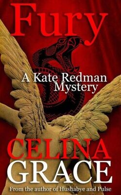 Fury: (A Kate Redman Mystery: Book 11) (The Kate Redman Mysteries)