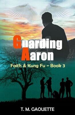 Guarding Aaron (Faith &amp; Kung Fu)