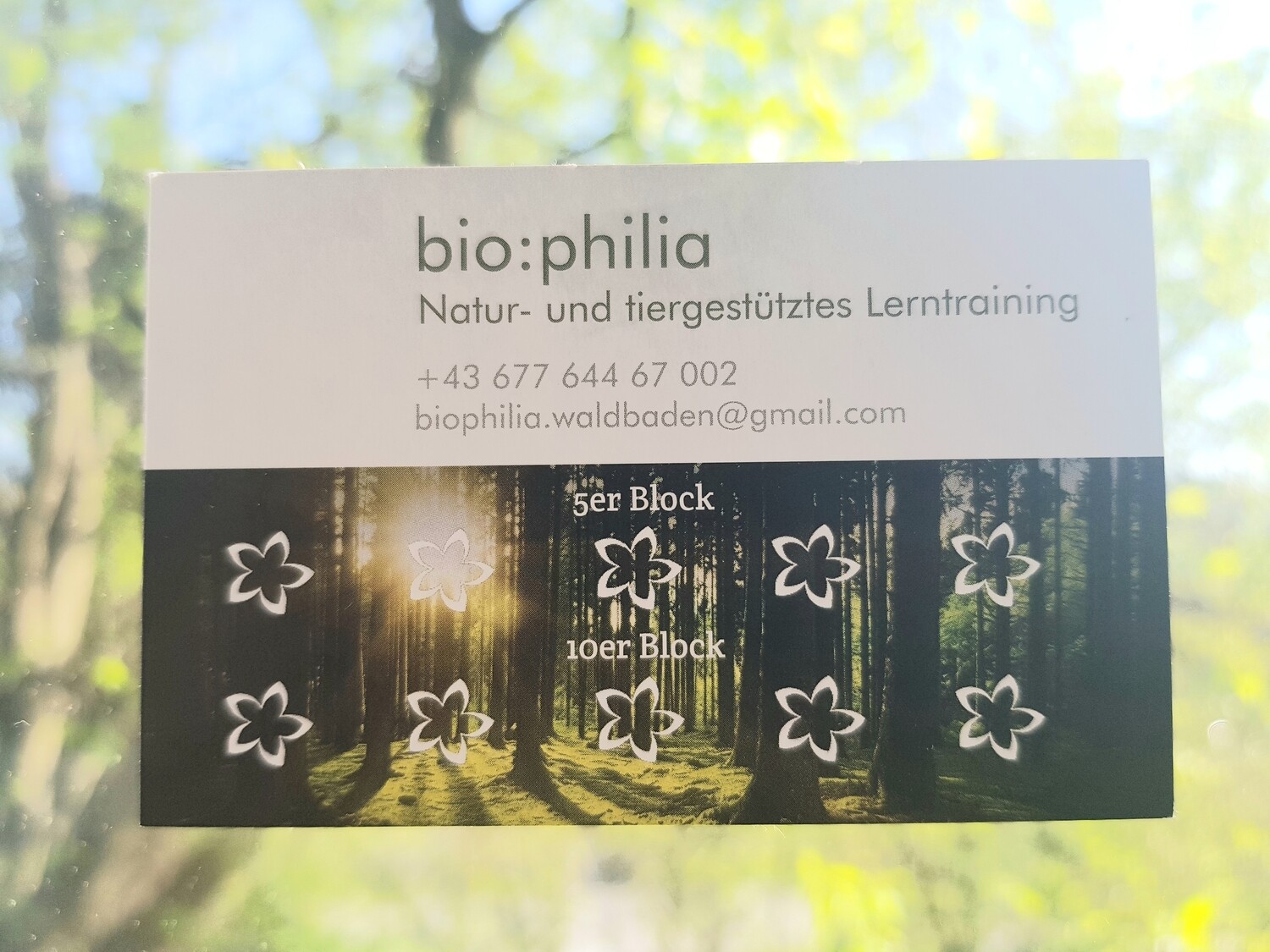 bio:philia Lerntraining 10er Block