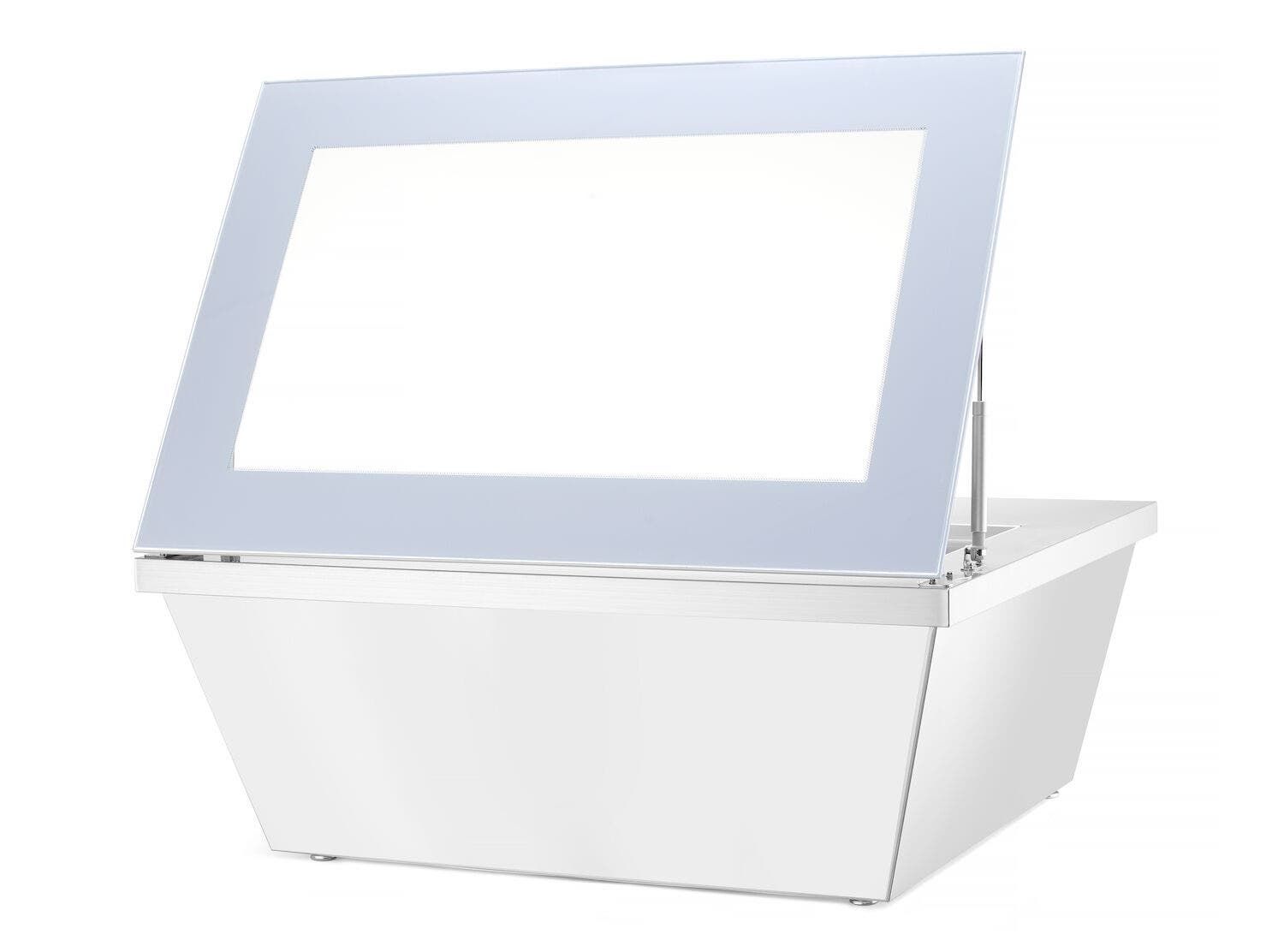 Edelstahl Eiscreme-Display-Gefrierschrank | 20L | Arktic