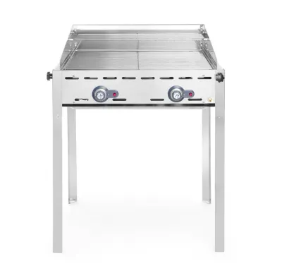 Green Fire 2 Brenner Gasgrill | 11,6 kW mit 2 Edelstahl-Grillrosten GN 1/1