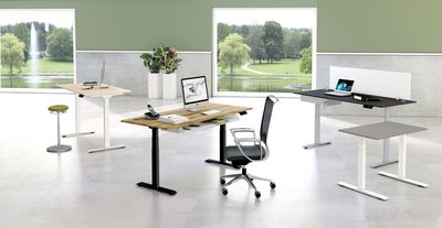 Move 1 Stable | Höhenverstellbarer Schreibtisch