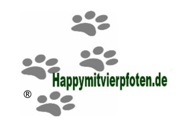 Happymitvierpfoten