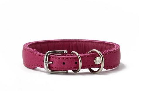 MAUL Halsband Mono Pop  himbeer