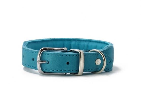 MAUL Halsband Mono Pop petrol