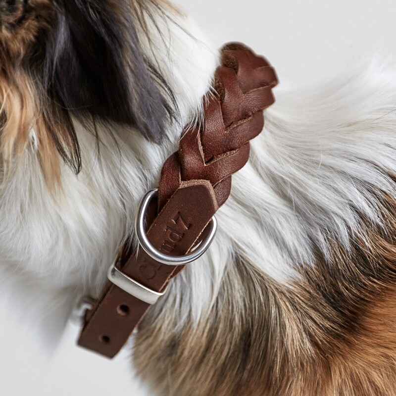 Hundehalsbänder