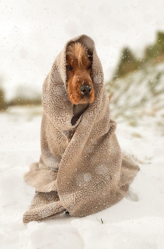Wintermäntel