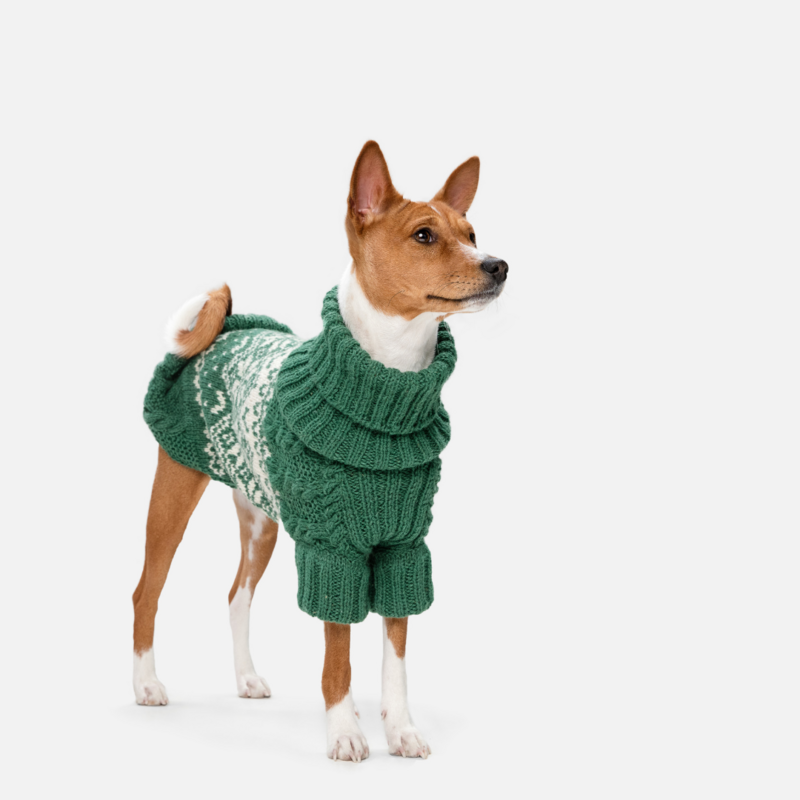 Hundebekleidung