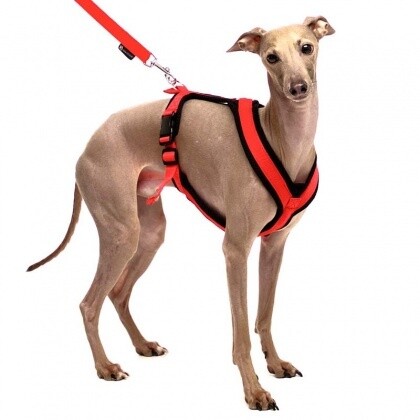 Sofa Dog Wear Sportgeschirr Y small "ROT"